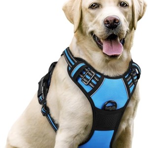 Dog Harness No Pull with 2 Leash Clips